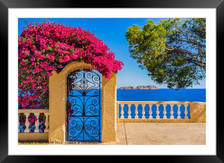 Bougainvillea sea view at the coast of Majorca Framed Mounted Print by Alex Winter