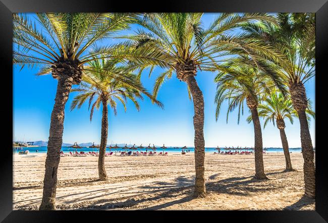 Platja de Alcudia Framed Print by Alex Winter