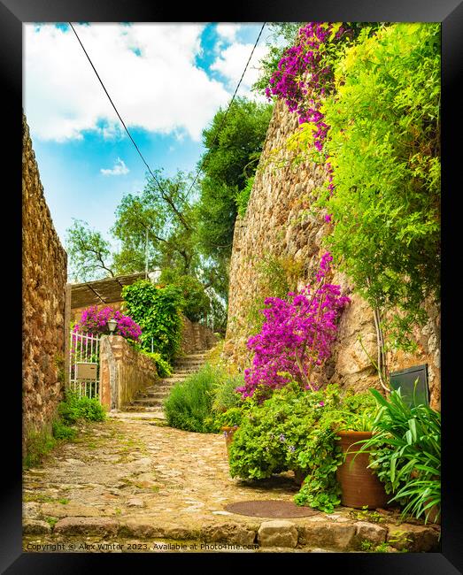 Idyllic view of beautiful flowers street in old vi Framed Print by Alex Winter