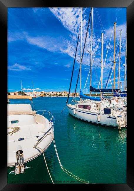 Marina harbor with moored sailing yachts in Porto  Framed Print by Alex Winter