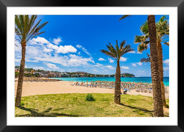 Santa Ponsa beach  Framed Mounted Print by Alex Winter