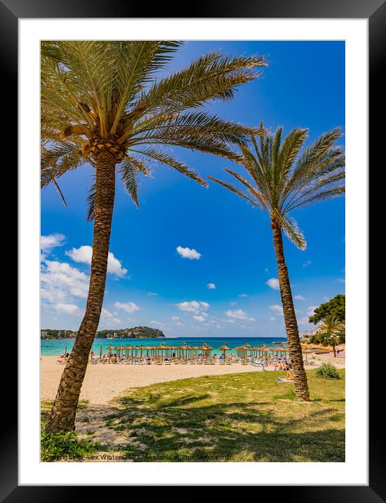View of Santa Ponsa beach Framed Mounted Print by Alex Winter