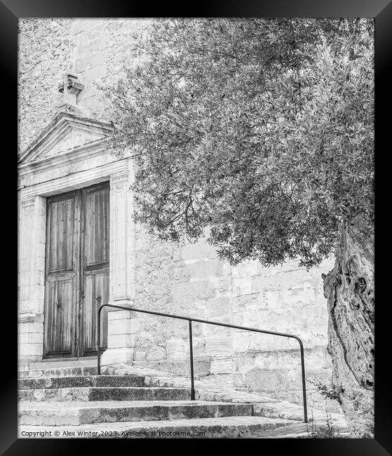 A beautiful old olive tree standing next to an old church, black and white Framed Print by Alex Winter