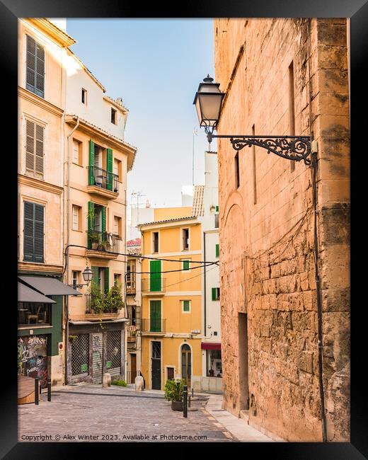 Street in the old town of Palma de Mallorca, Spain Framed Print by Alex Winter