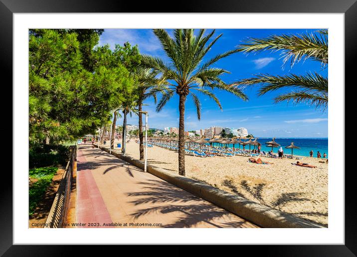 Sand beach with palm tree pormenade in Magaluf on Mallorca Framed Mounted Print by Alex Winter