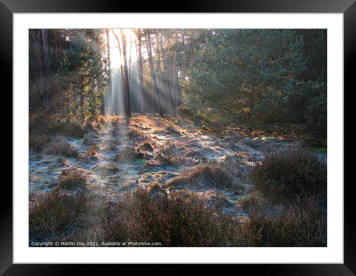 Frosty Sunrays Paint the Woodland Framed Mounted Print by Martin Day