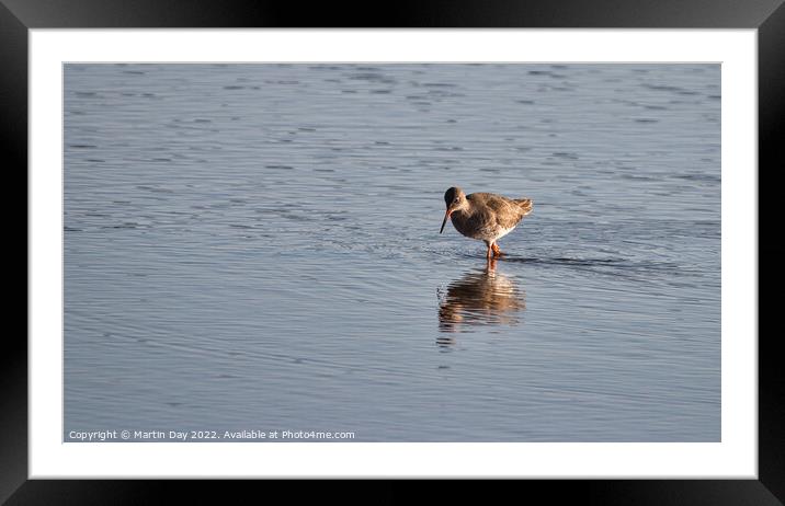 Serene Redshank Reflection Framed Mounted Print by Martin Day
