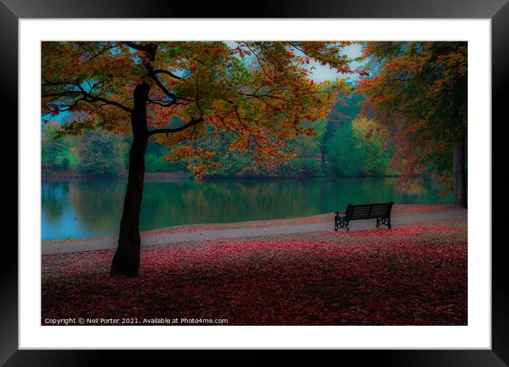 Taking in the Autumn Framed Mounted Print by Neil Porter