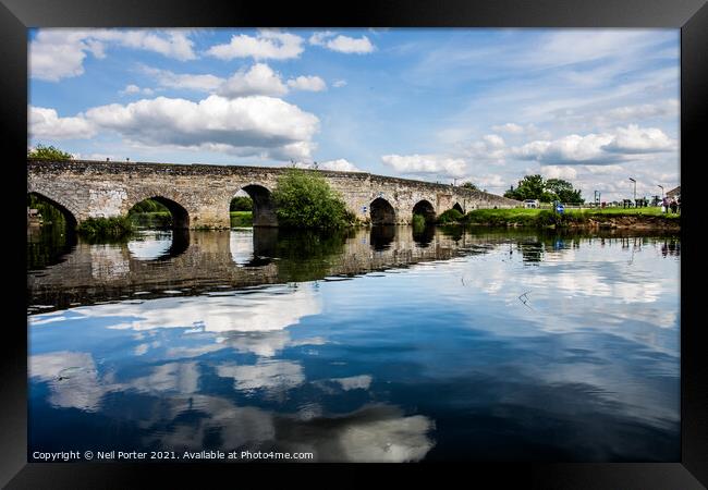 Reflecting on Summer Framed Print by Neil Porter