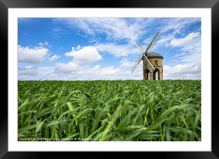 Outdoor grass Framed Mounted Print by Neil Porter