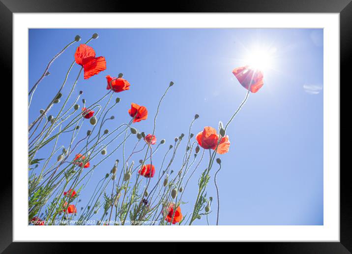 Reach for the sky Framed Mounted Print by Neil Porter