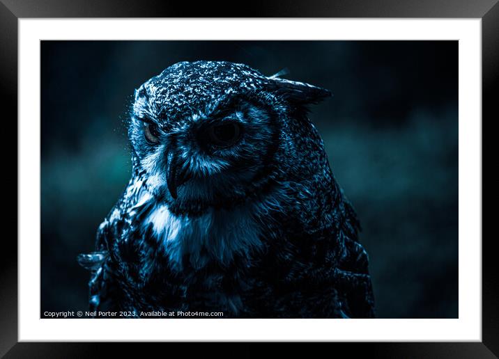 The Night Owl Framed Mounted Print by Neil Porter