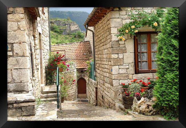 Village in the gorges of the Tarn, France  Framed Print by Ann Mechan