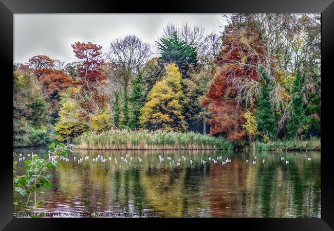 Hampden Park Lake Framed Print by Gareth Parkes