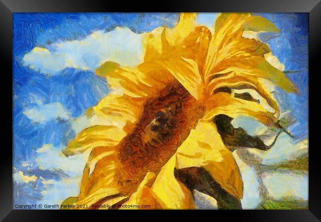 Sun Flower Framed Print by Gareth Parkes