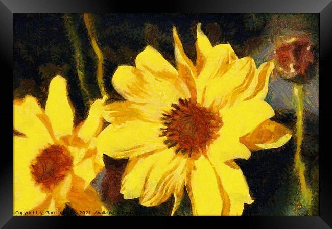 Sunflowers Framed Print by Gareth Parkes