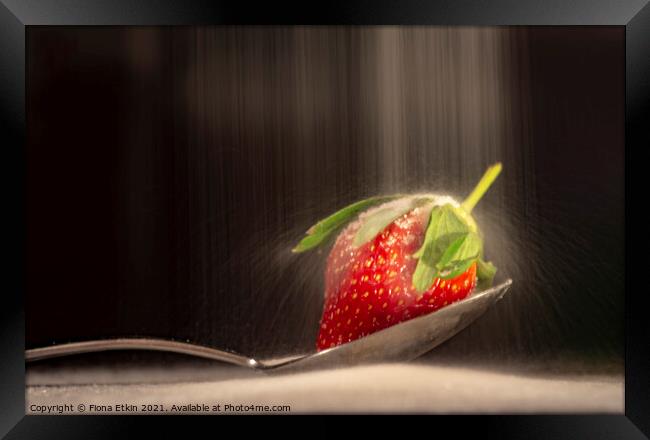 Strawberry and  sugar  Framed Print by Fiona Etkin