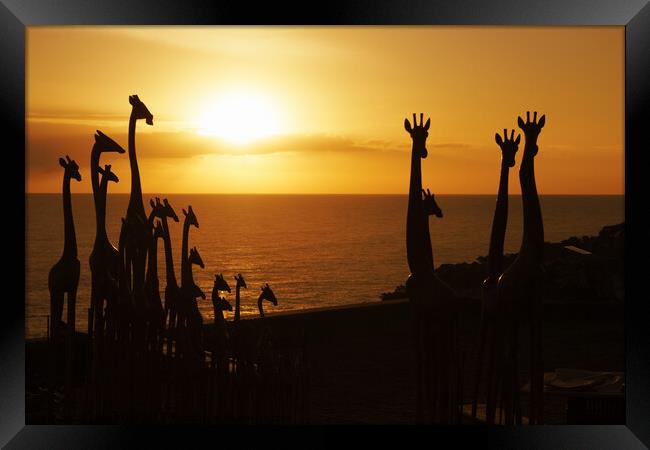 Giraffe sculptures silhouette Framed Print by Fiona Etkin