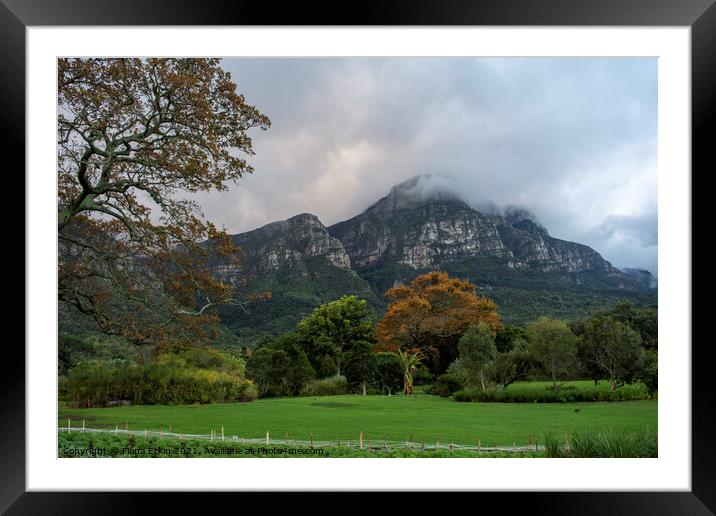 Mountainview from Kirstenbosch gdns Framed Mounted Print by Fiona Etkin