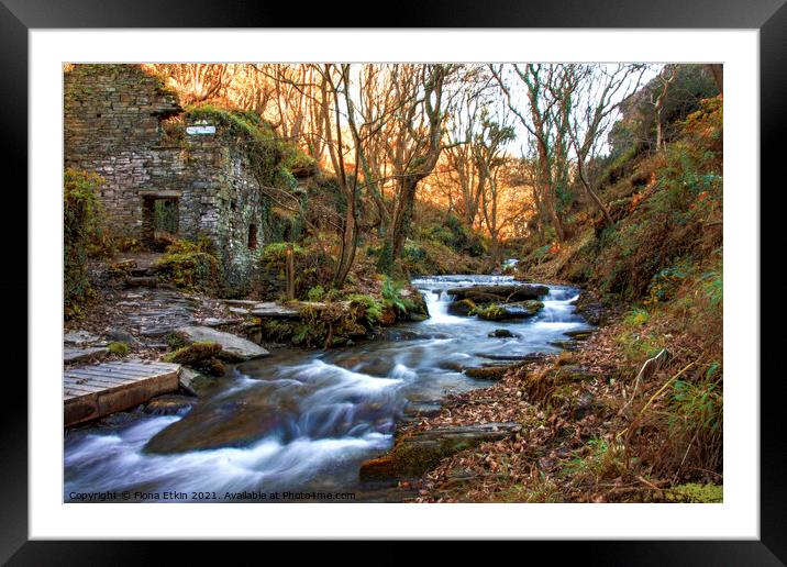 Trethevy Mill and Rocky Falls Framed Mounted Print by Fiona Etkin