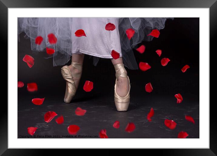 Ballet Slippers and Rose Petals Framed Mounted Print by Fiona Etkin
