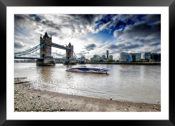 Tower bridge and the River Thames  Framed Mounted Print by Fiona Etkin