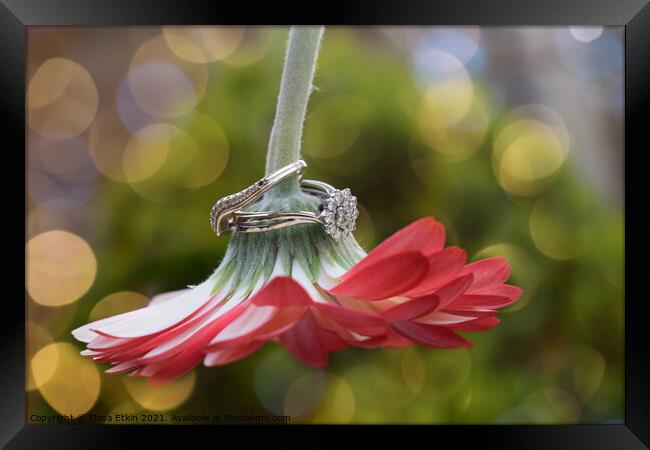 Floral enchantment Framed Print by Fiona Etkin