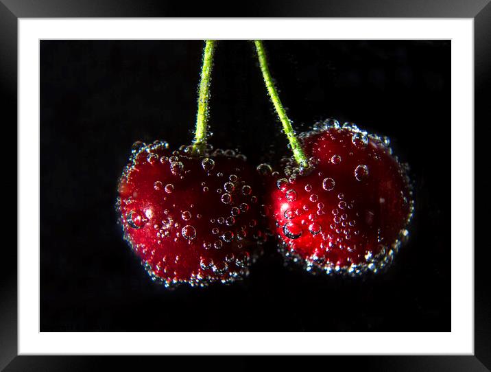 Fizzy cherries Framed Mounted Print by Fiona Etkin