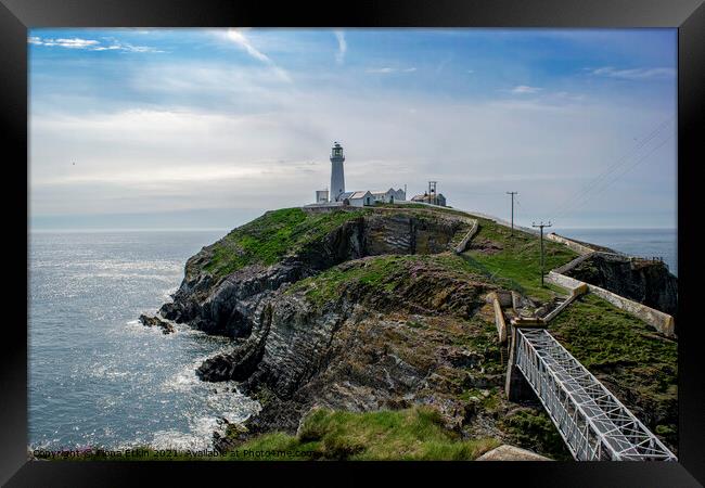 South Stack lighthouse Anglesey Framed Print by Fiona Etkin