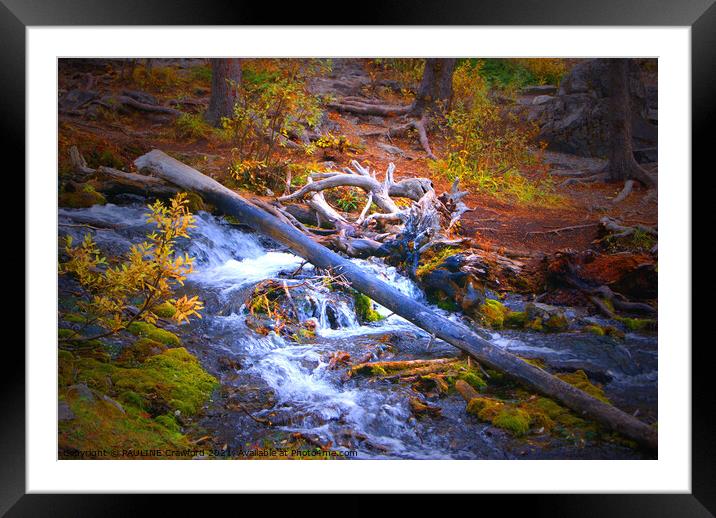 Bubbling Brook in Fall Colors Moss Red Orange Yellow Leaves Tree Stumps Forest Woods  Framed Mounted Print by PAULINE Crawford