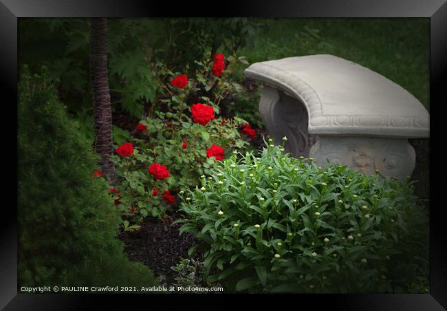 Private English Rose Garden with Bench in Canada Framed Print by PAULINE Crawford