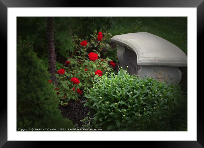 Private English Rose Garden with Bench in Canada Framed Mounted Print by PAULINE Crawford