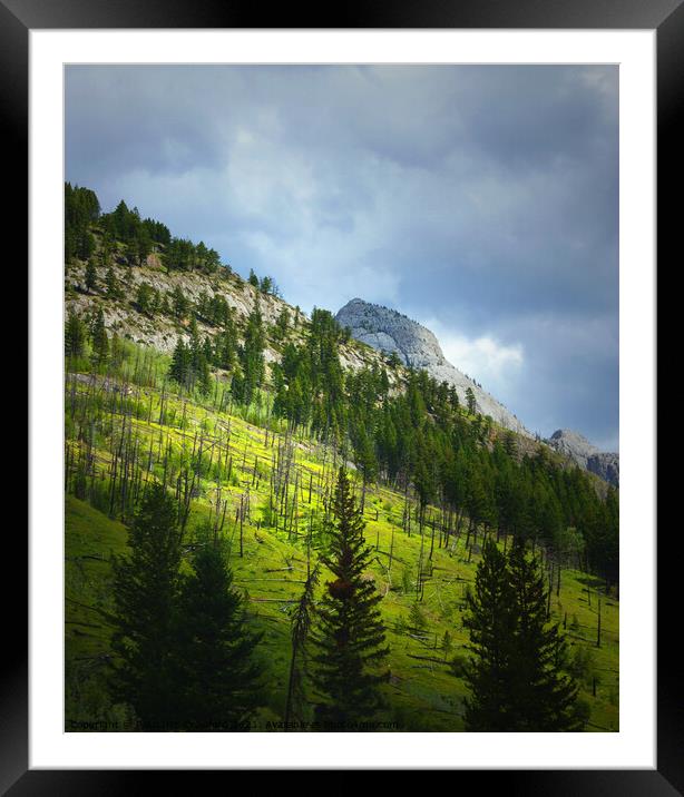 Canadian Rocky Mountains Fire Burned the Trees on the Hillside Framed Mounted Print by PAULINE Crawford