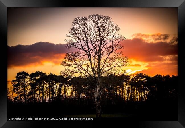 Stunning Sunset Framed Print by Mark Hetherington