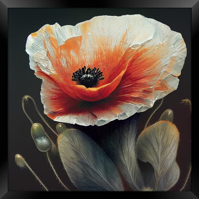 A Poppy Framed Print by Picture Wizard
