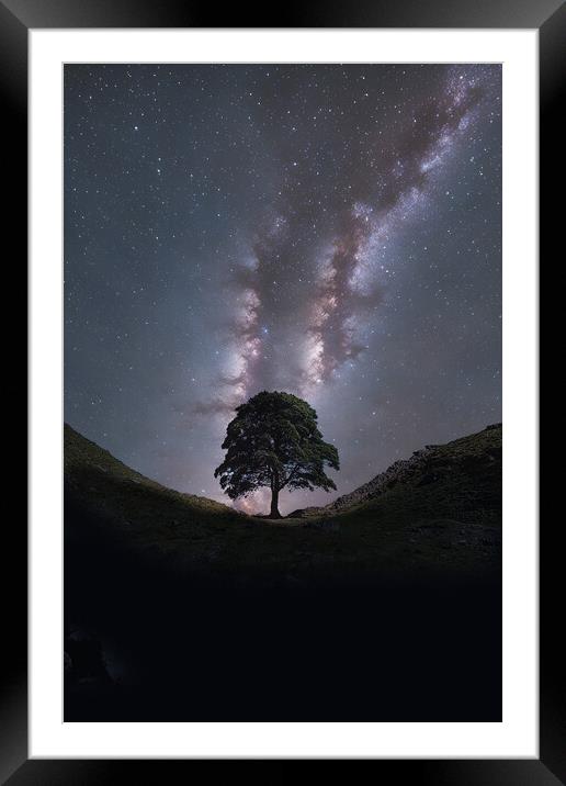 Sycamore Gap Milky Way Framed Mounted Print by Picture Wizard