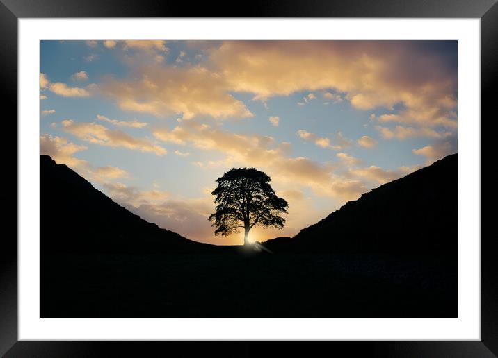 Sycamore Gap Sunrise Framed Mounted Print by Picture Wizard