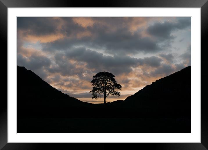 Sycamore Gap Framed Mounted Print by Picture Wizard