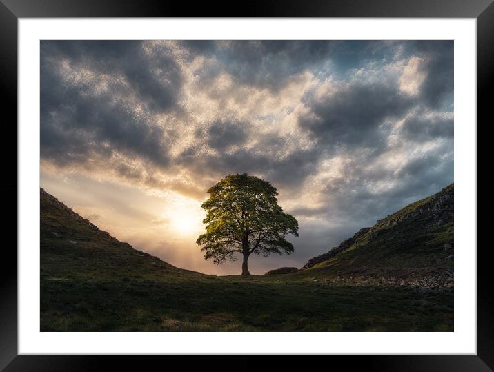 Sycamore Gap Sunrise Framed Mounted Print by Picture Wizard