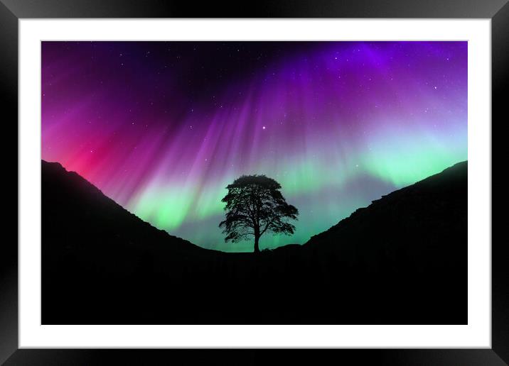 Sycamore Gap Aurora Framed Mounted Print by Picture Wizard