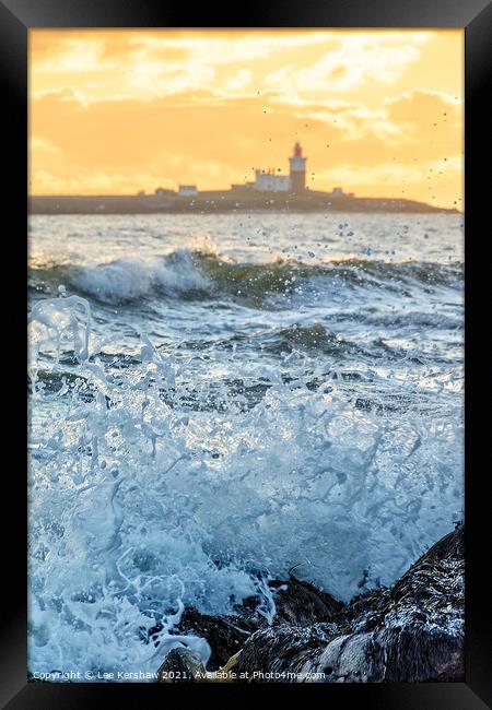 Coquet Island splash Framed Print by Lee Kershaw
