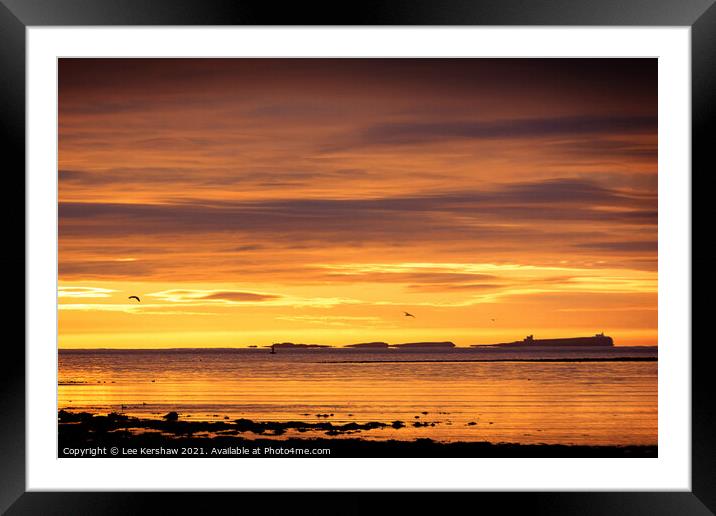 Farne Islands sunrise Framed Mounted Print by Lee Kershaw