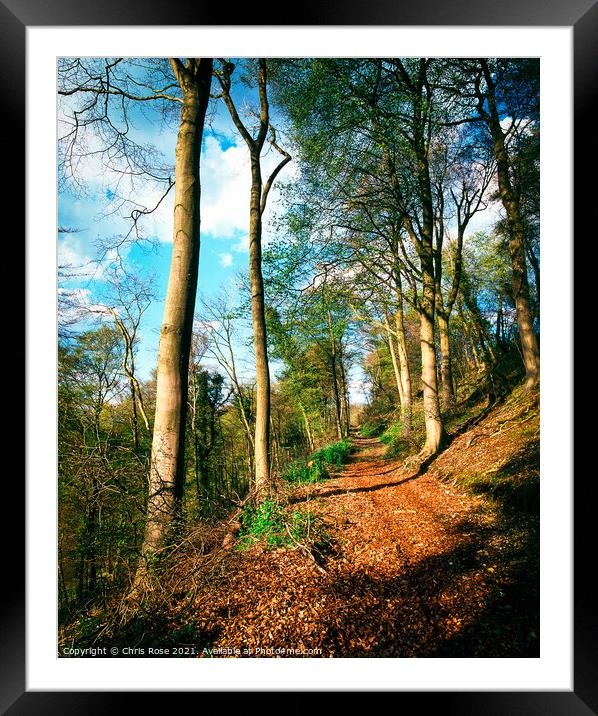 Hillside woodland footpath Framed Mounted Print by Chris Rose