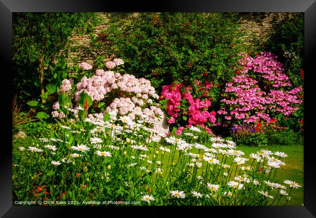 A beautiful summer walled garden border flowerbed Framed Print by Chris Rose