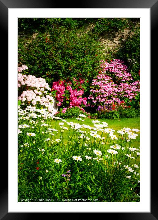 Walled garden border flowerbed Framed Mounted Print by Chris Rose