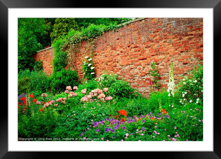 Walled garden summer flowers border Framed Mounted Print by Chris Rose