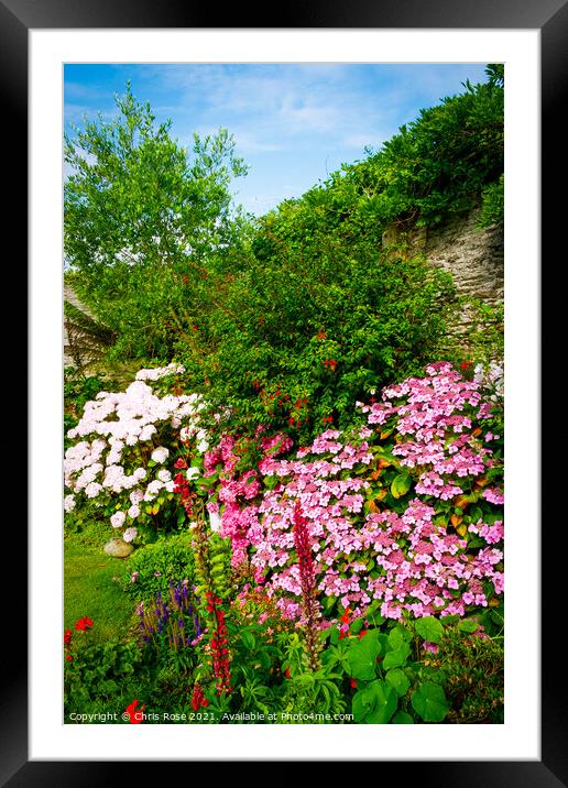 A beautiful summer walled garden border flowerbed Framed Mounted Print by Chris Rose