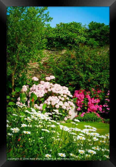 Colourful summer cottage garden border Framed Print by Chris Rose