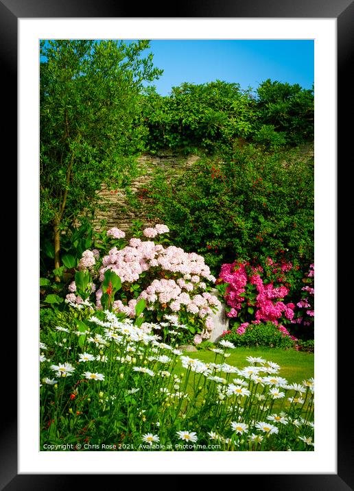 Colourful summer cottage garden border Framed Mounted Print by Chris Rose