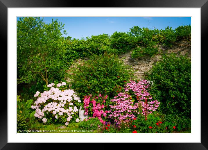 Summer walled garden border flowerbed Framed Mounted Print by Chris Rose